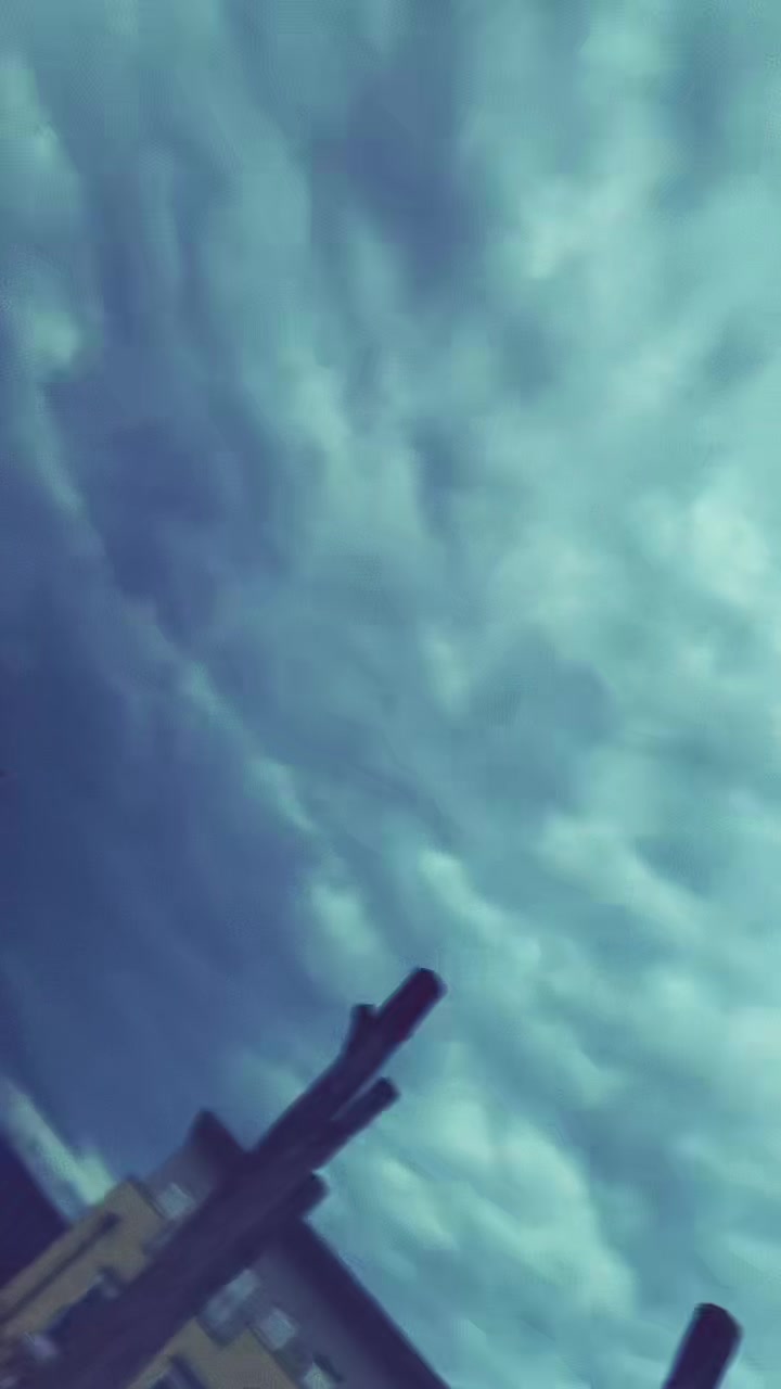 @miacgn5203