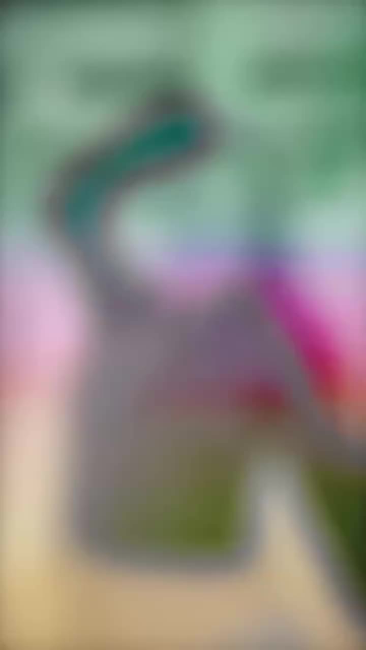 @neko.vcs