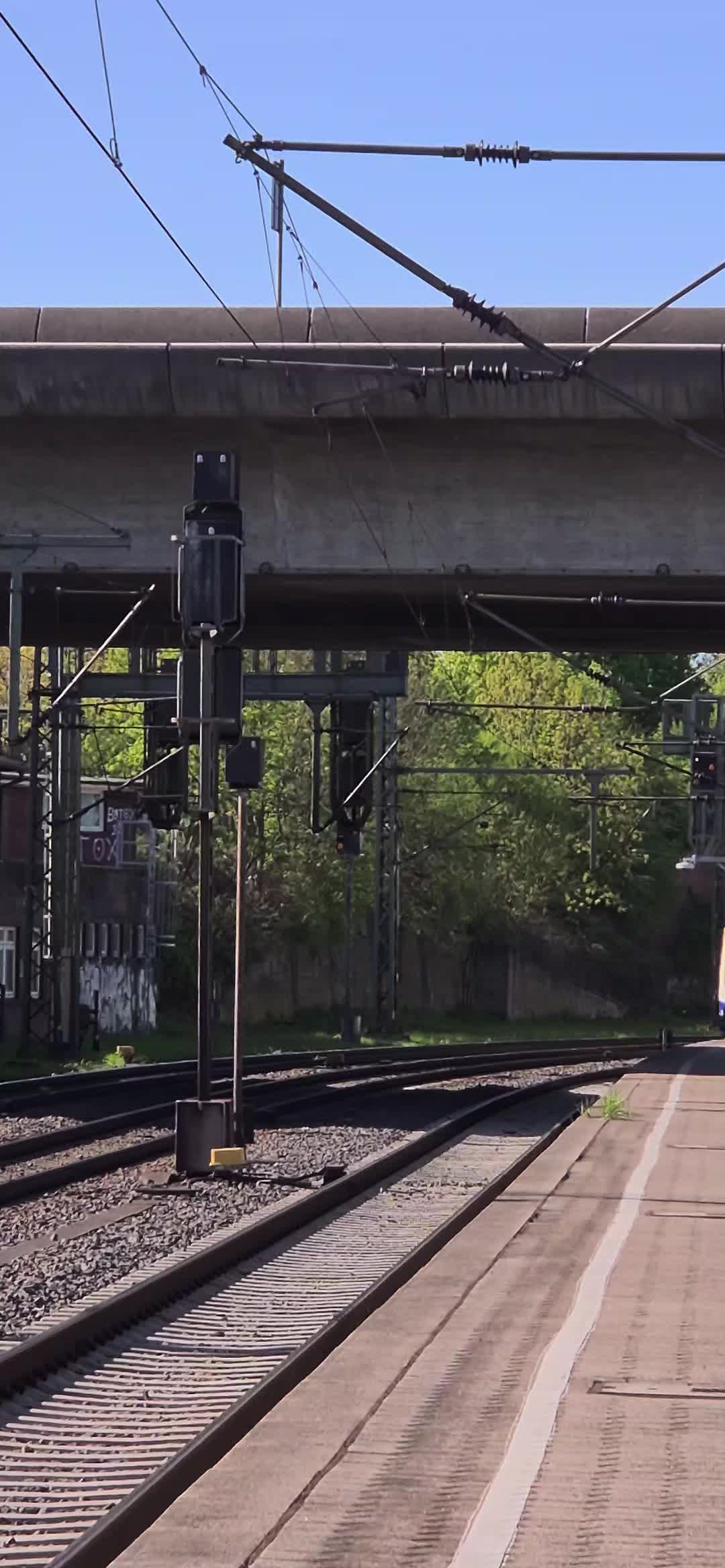 @trainspotter_krabbe