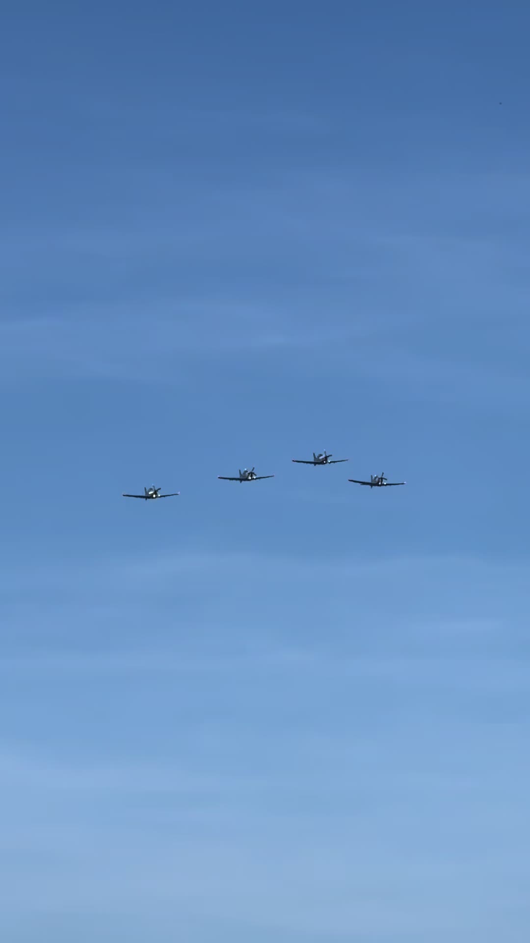 @🛫( T_T)