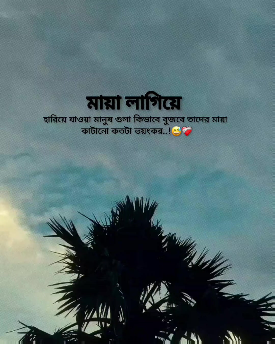 @Rakib Khan