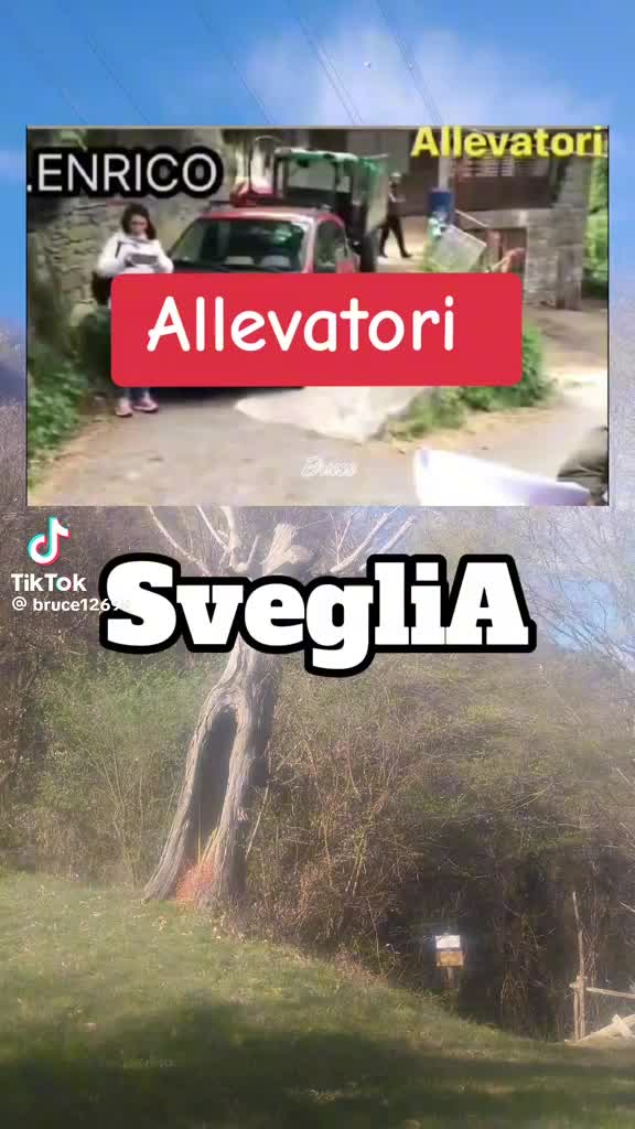 @GIGANTE BUONO