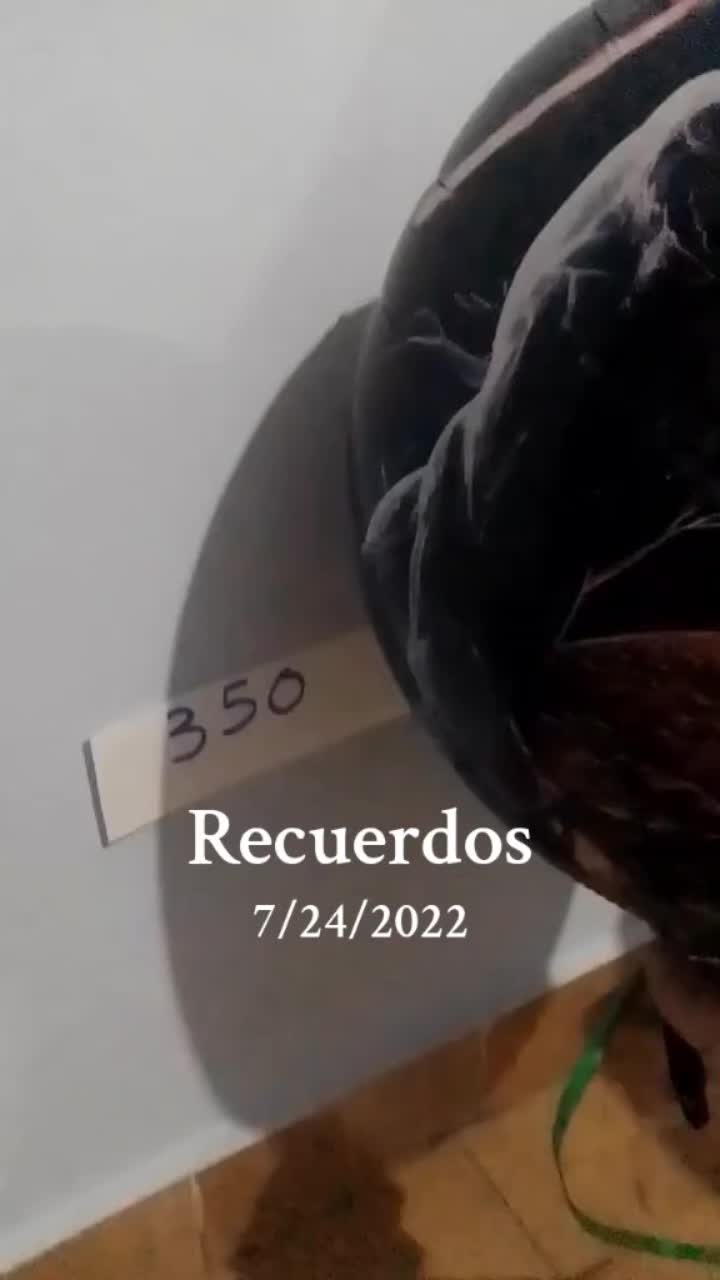 @Ragnarlotbrok