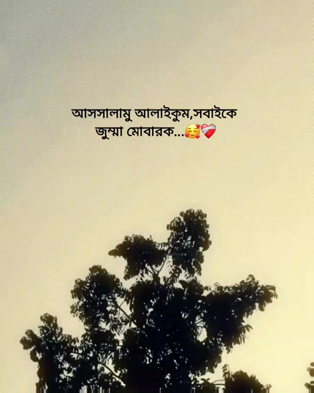 @Rakib Khan