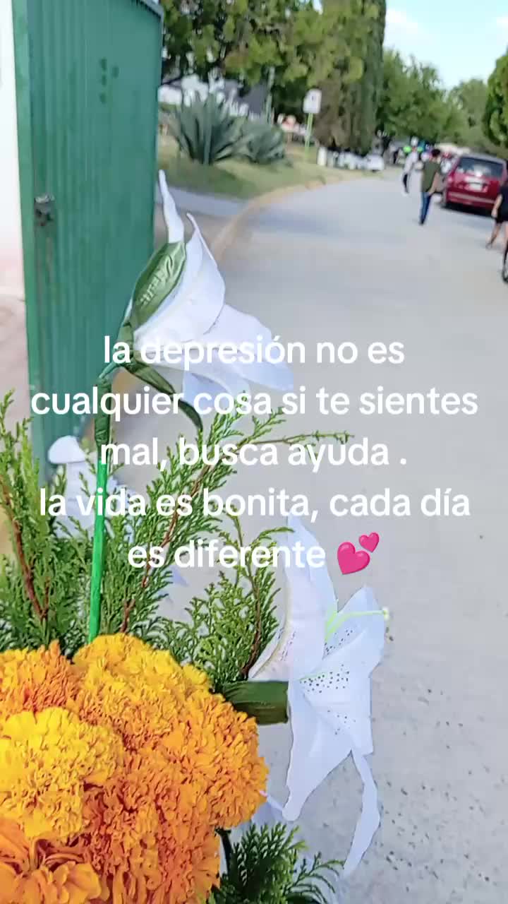 @liizbeeth