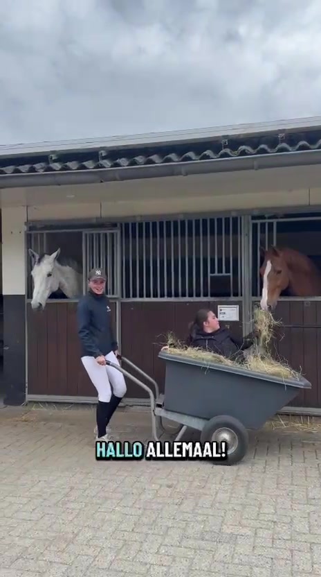 @Aeres Hippisch Centrum