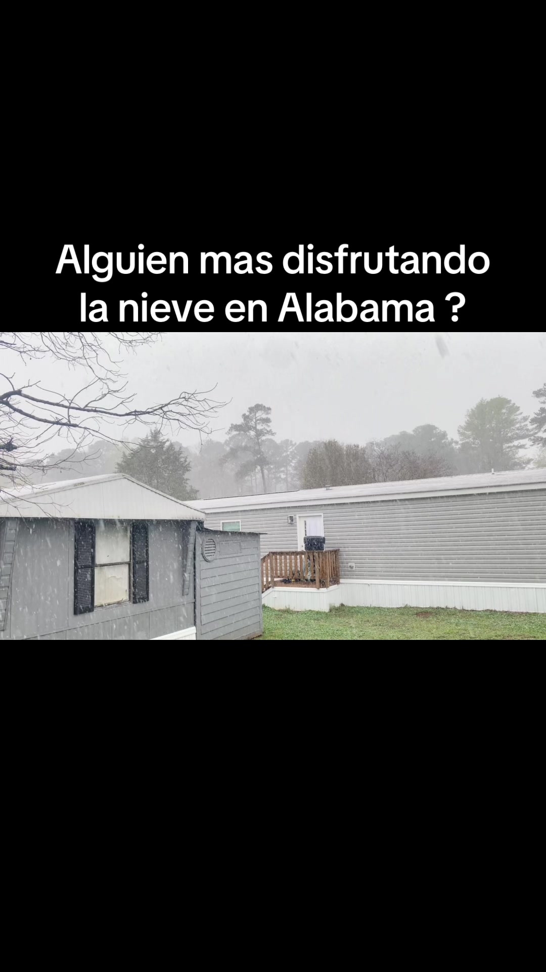 @@jalisco