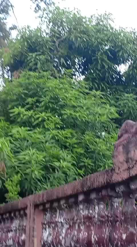@ULICER.