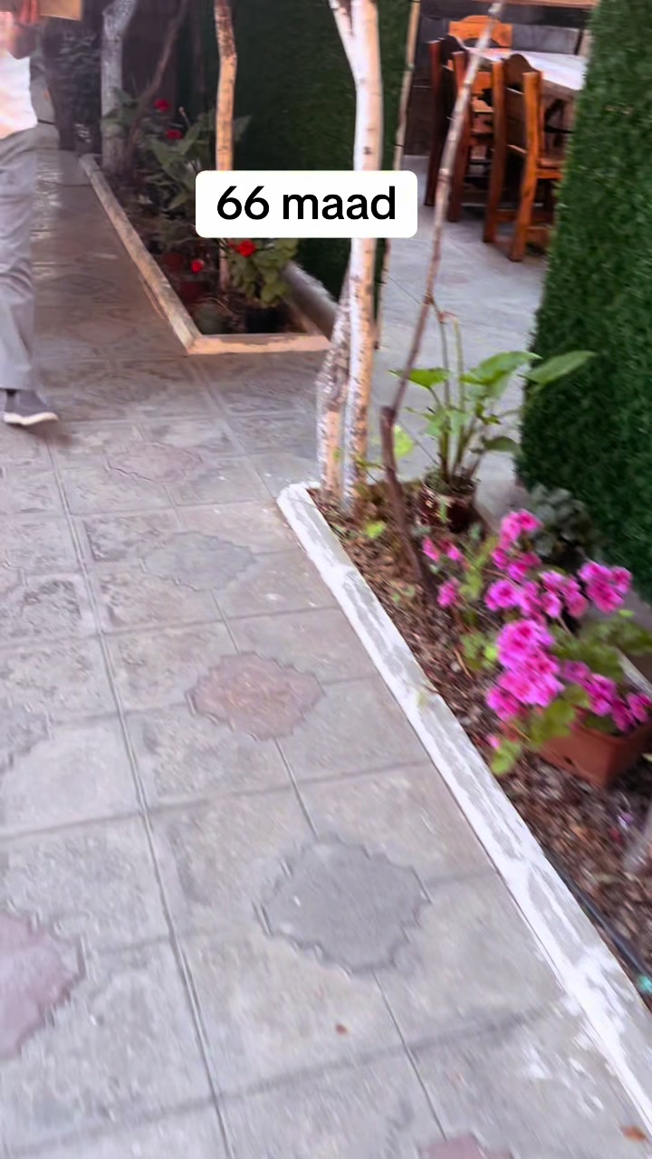 @Bəy Bağı Restoran