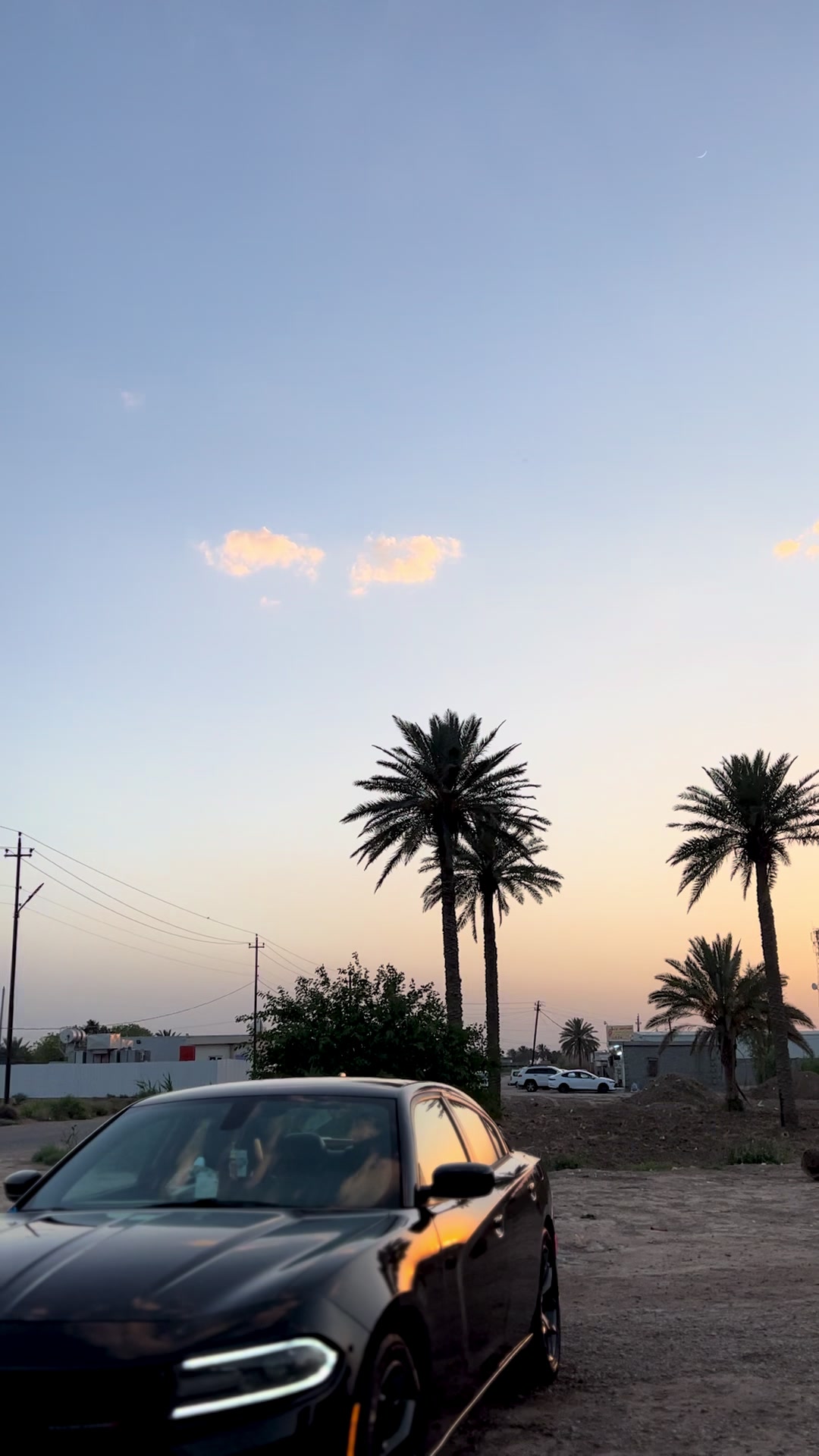@الزعيم طال عمره