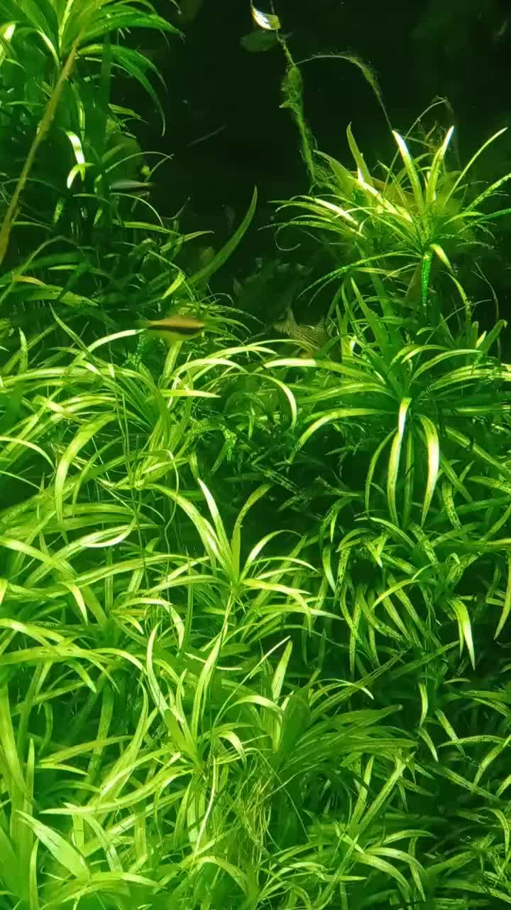 @Jaskółeczka 💫💫💫💫