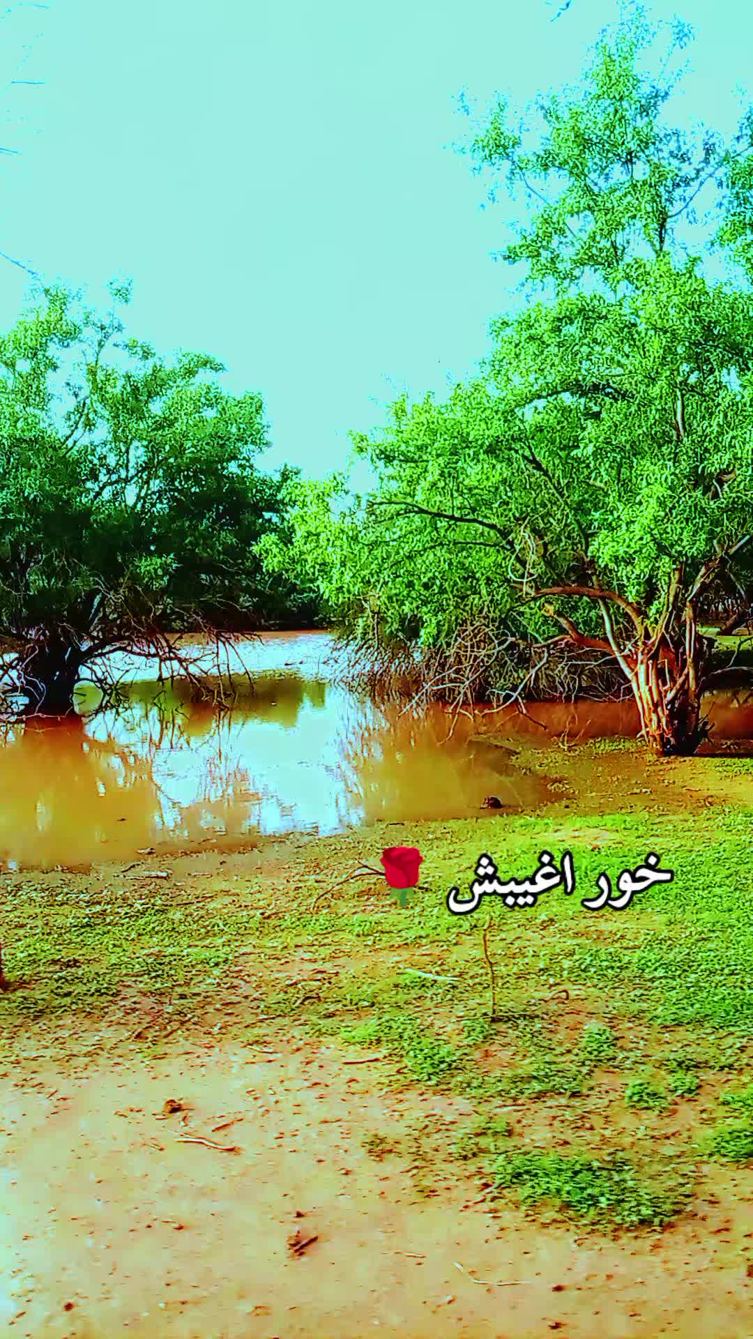 @اللـــيد🥷 ٢٤٩