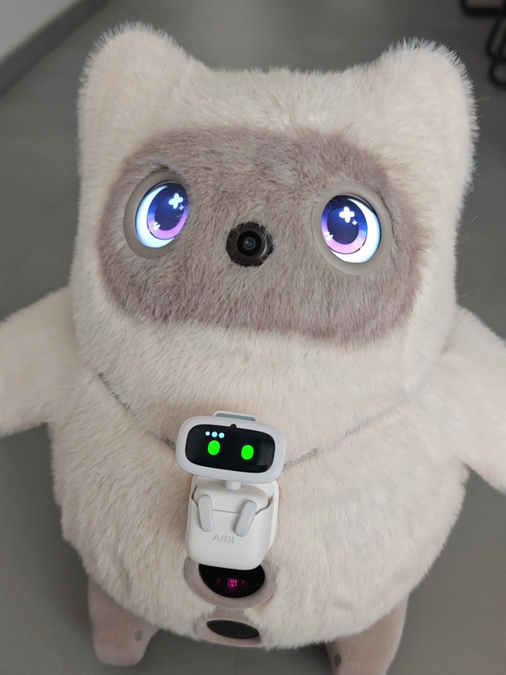 @Living with Robots