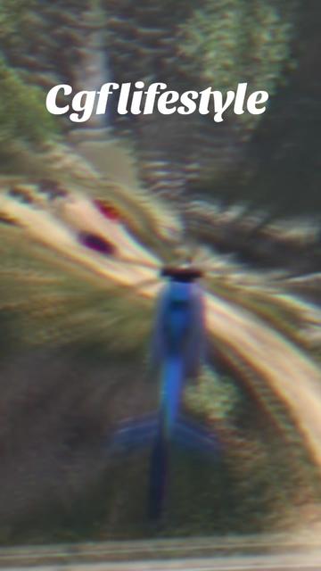 @001spooky