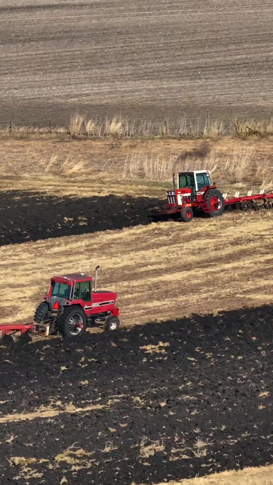 @Iowa Farmer Blake