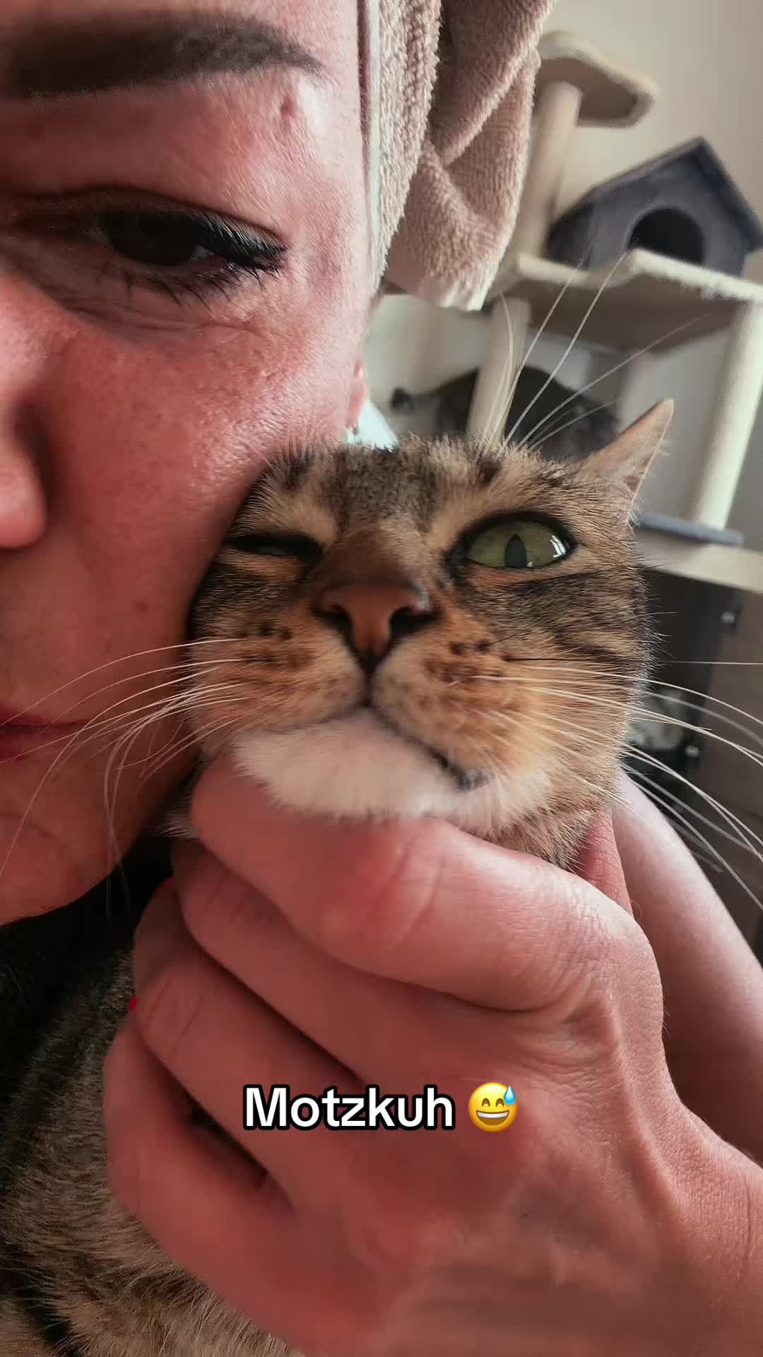@Oscar & die Katzenbande