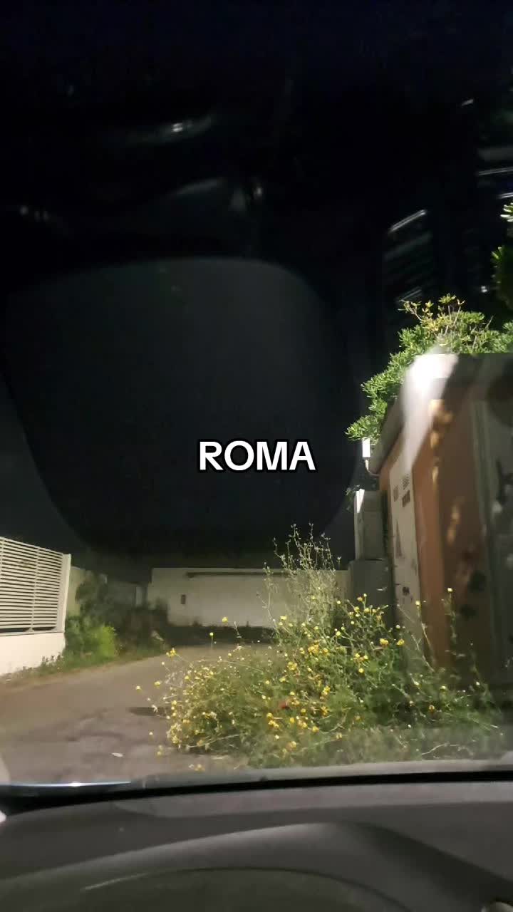 @Mario Vassecchi