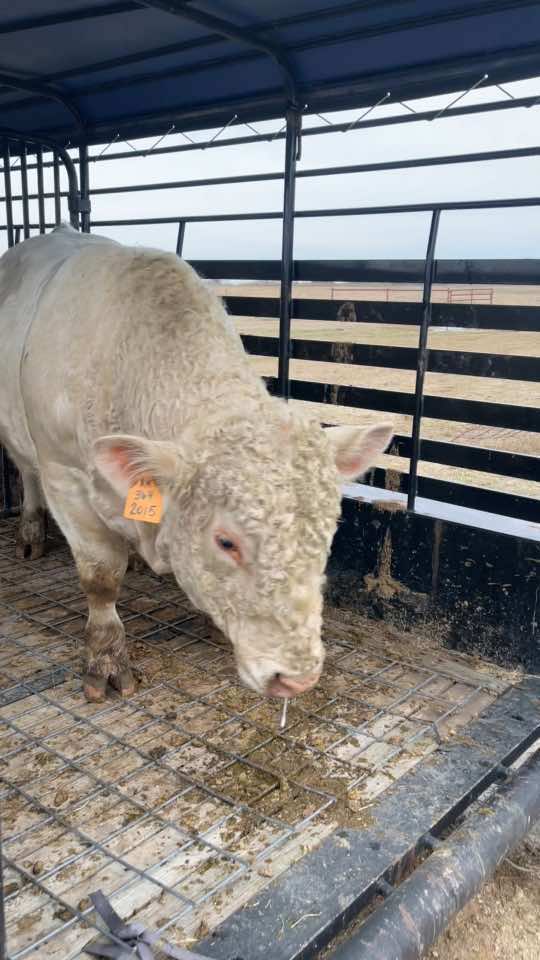 @The Farm Guy