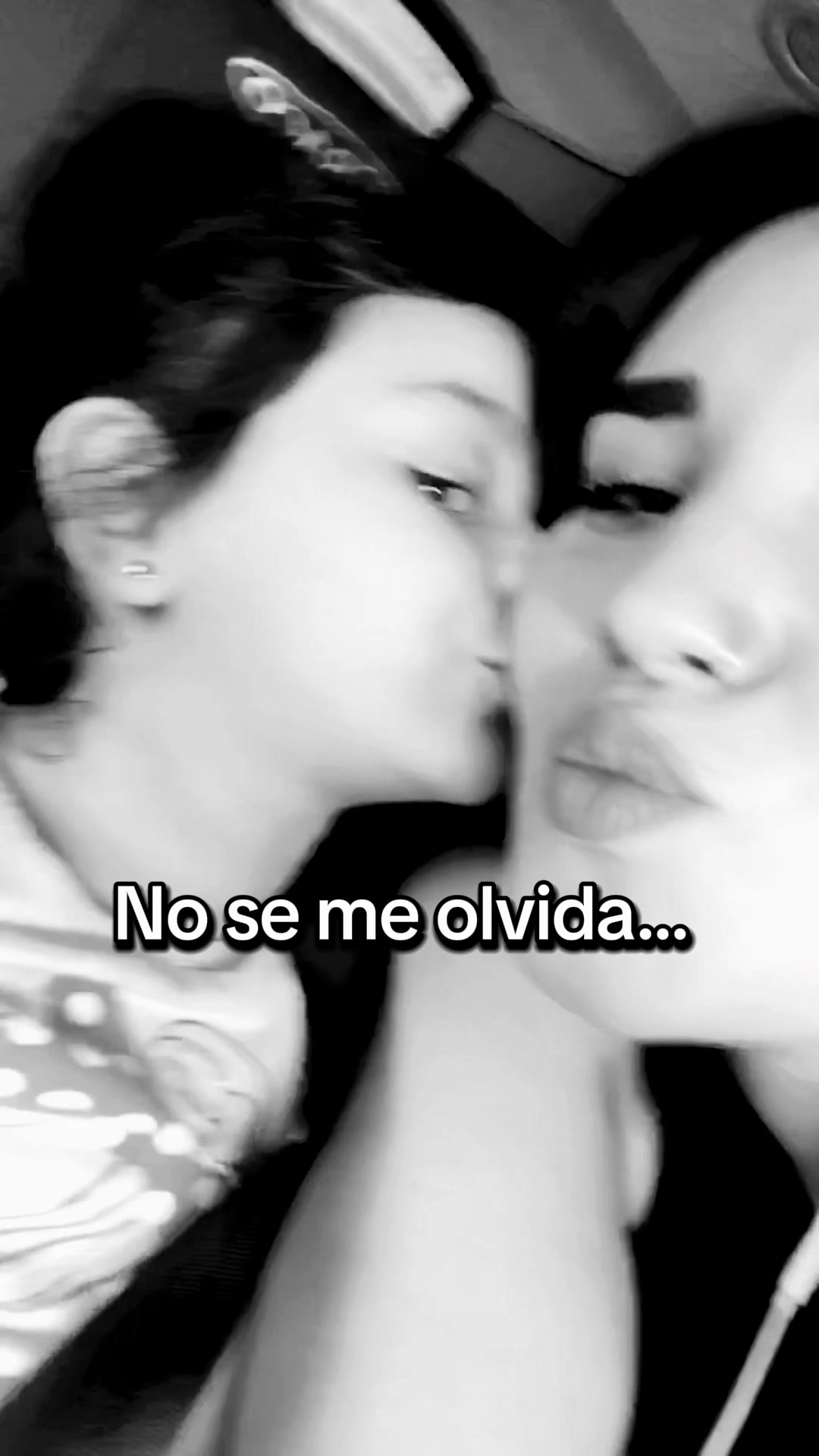 @lauren aniela