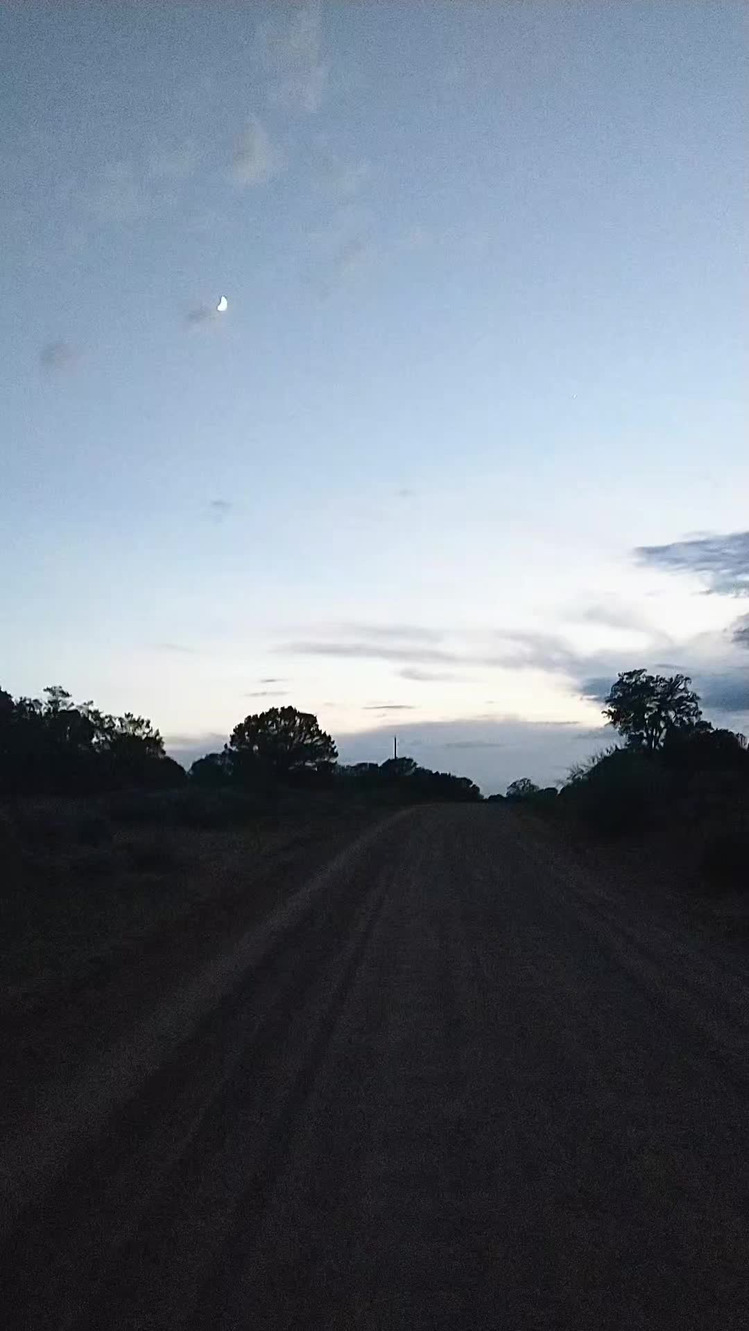 @Skinwalker Hunters