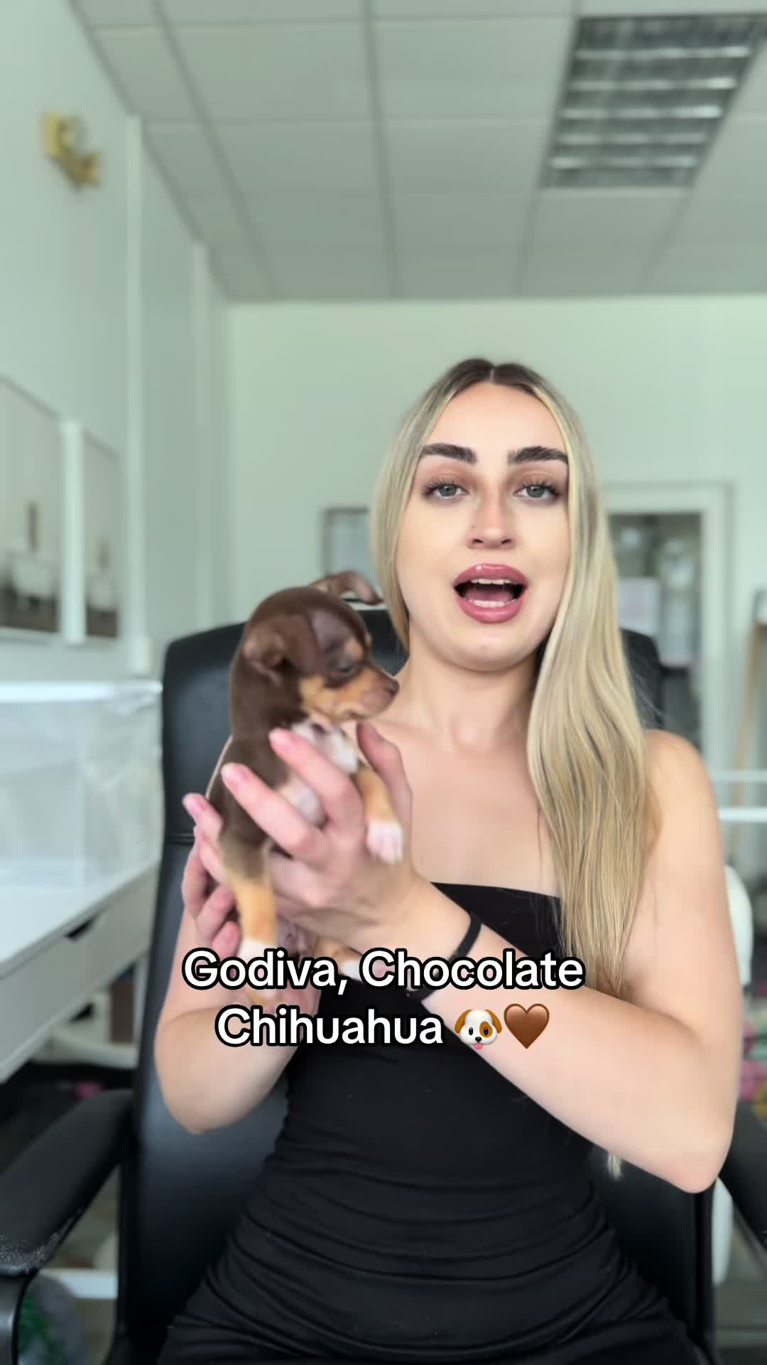 @TeaCups, Puppies & Boutique &reg;️