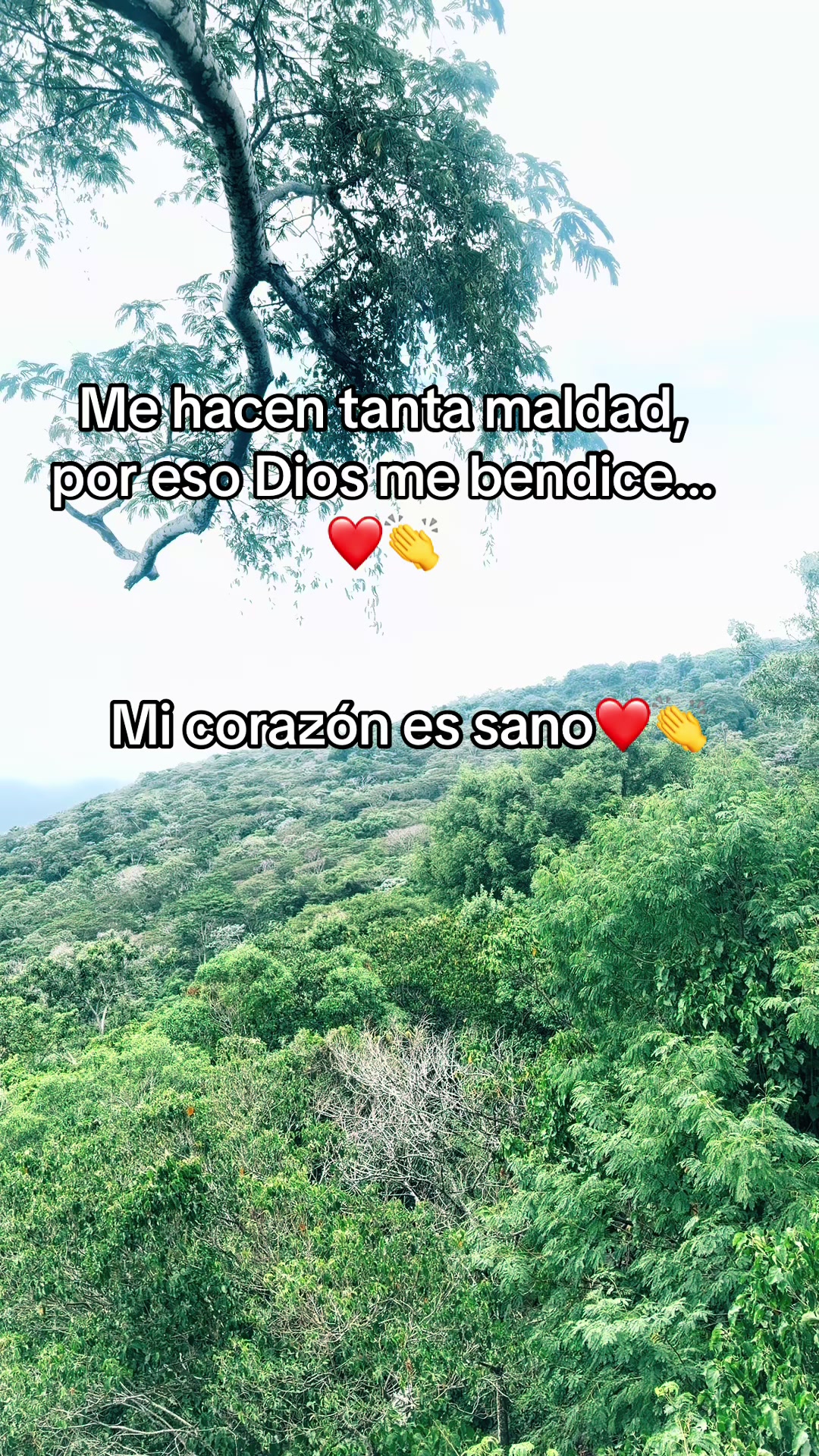 @guadalupetursios8