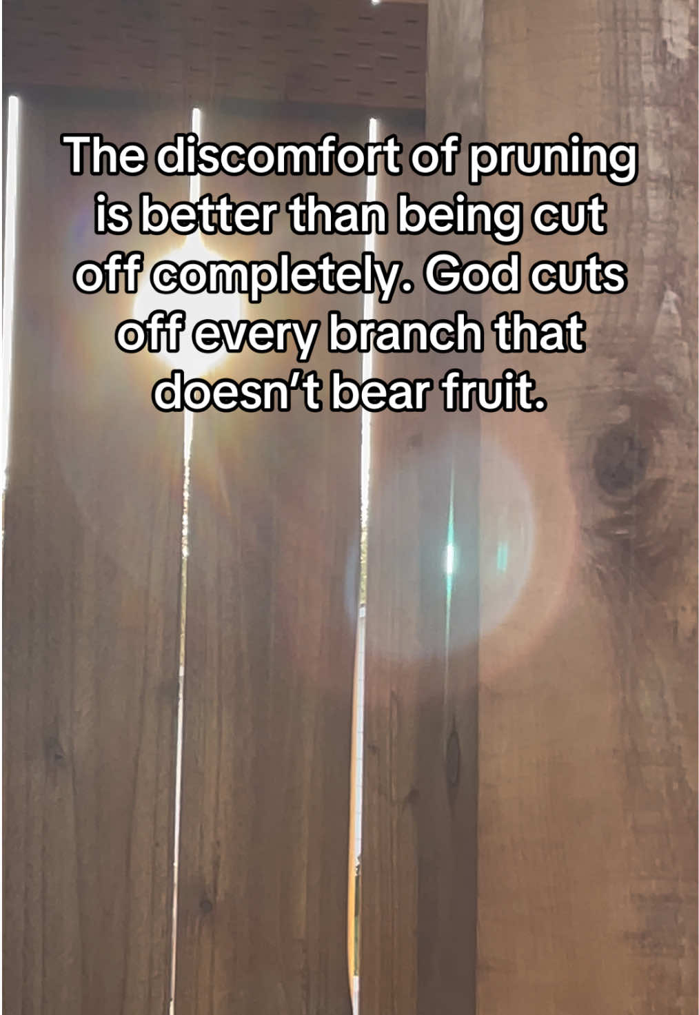 @Amelia Servatius