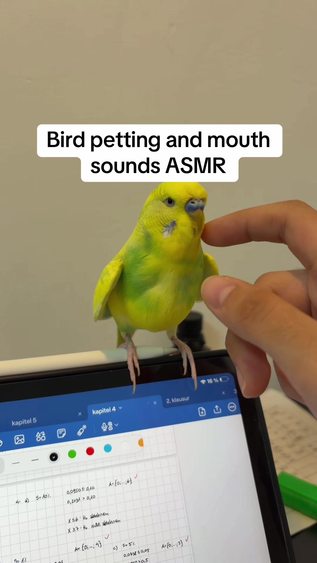 @arda.asmr