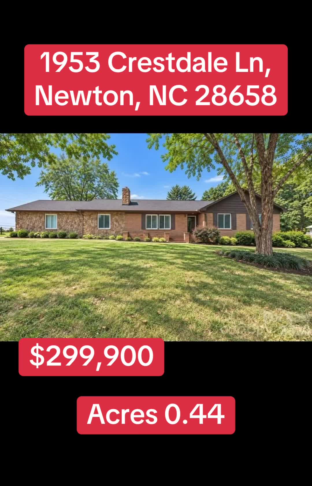 @🥇 Haydee Trejo | NC Realtor