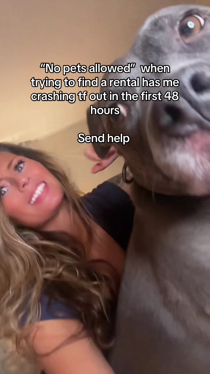 @dontbaeme