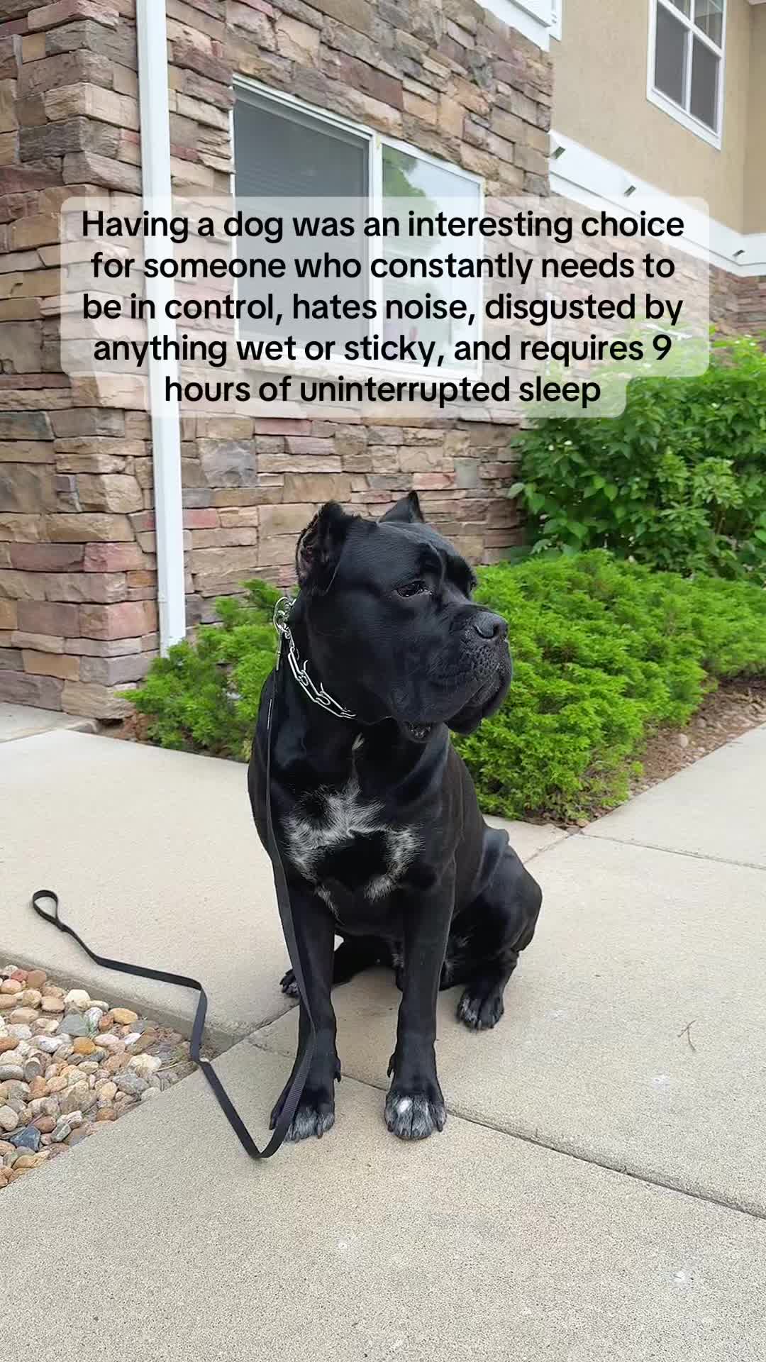 @Bentley Has Issues