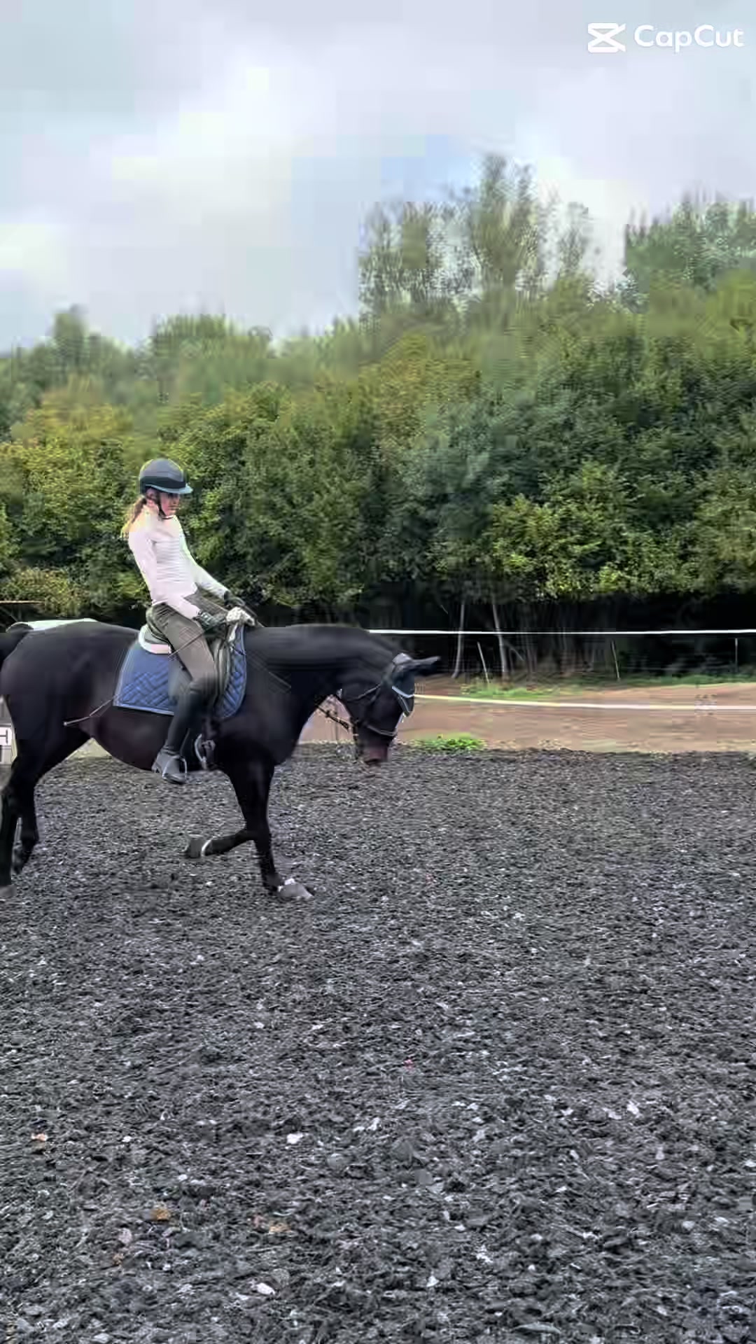 @herzenspferd_lucie❤️🥹