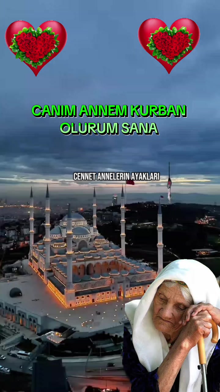 @🇹🇷҉͜͡✭Damla🦂Bozkurt🇦🇿҉͜͡✭
