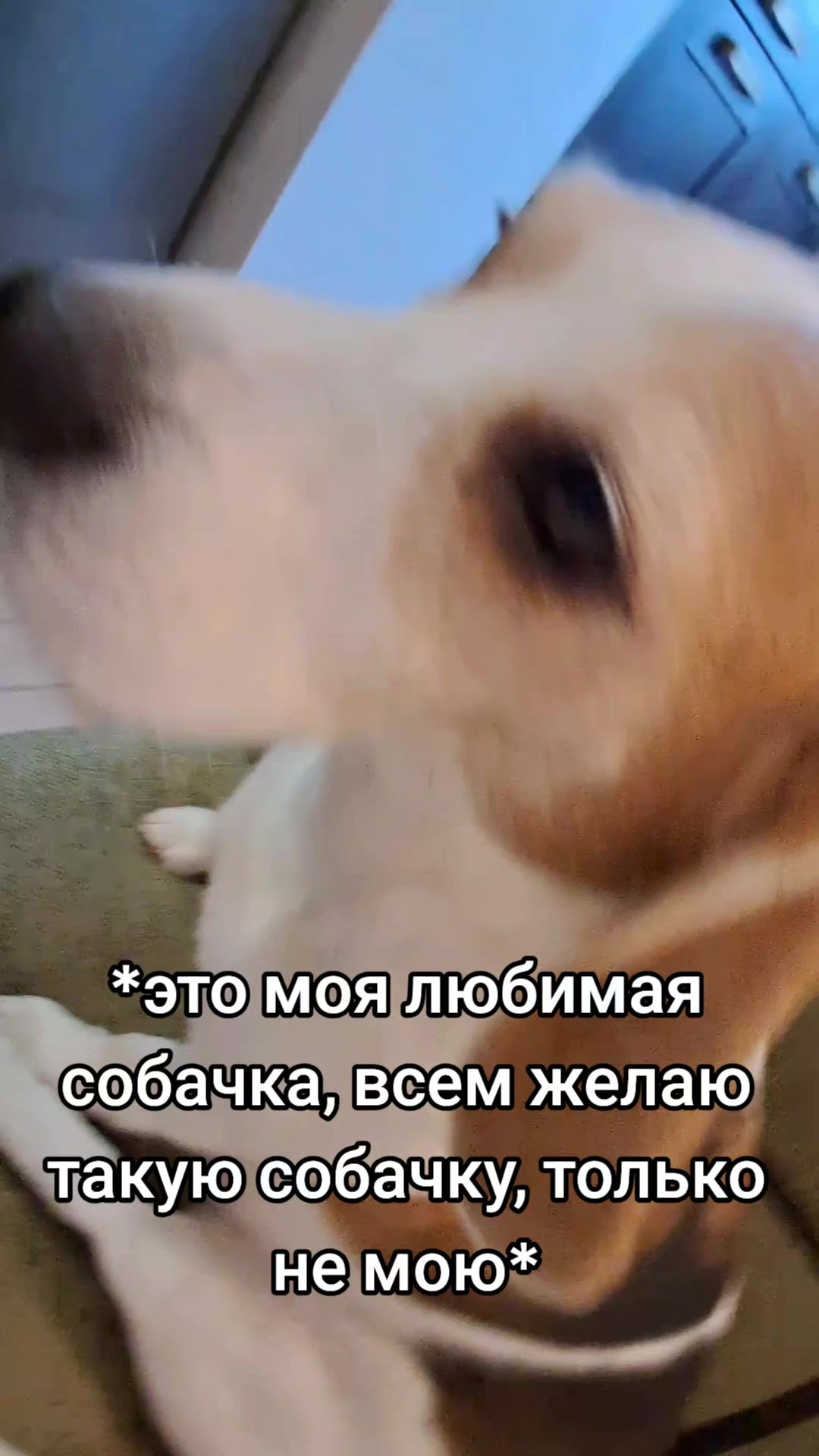 @ТГК:Некая Софа✨️💵👌