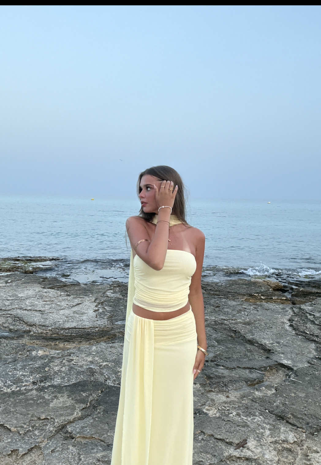 @hannemücke