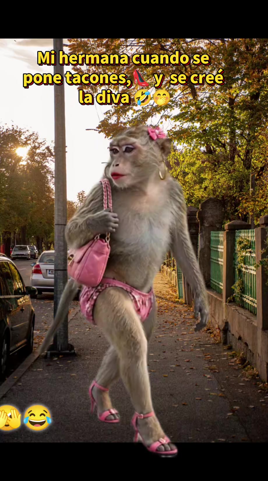 @💞🍬 𝓼Į𝕘𝓷Ỗ ᶜ𝓪ᑎ𝔠εr ✍️ 😎