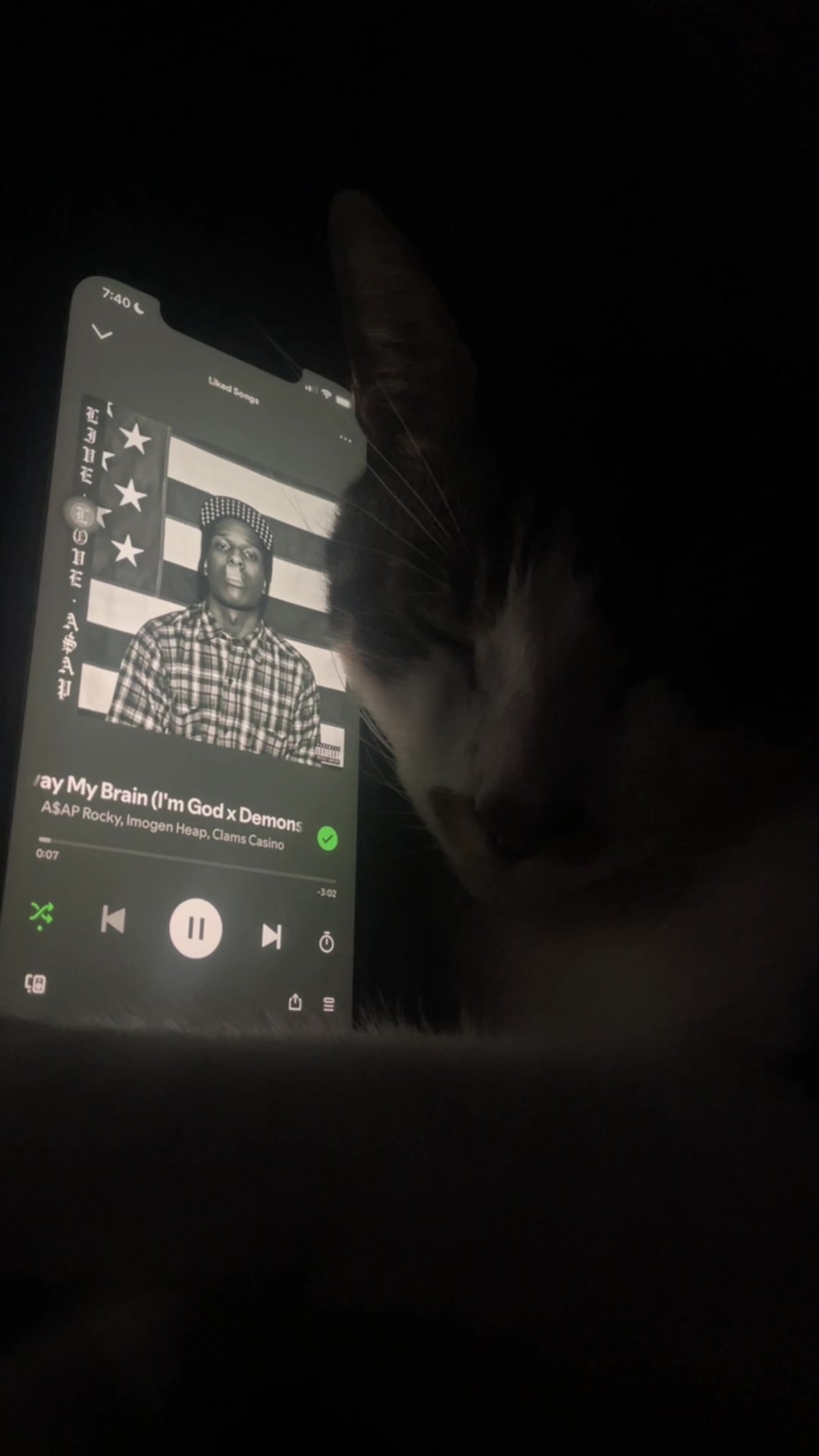 @sleepycatwithmusic