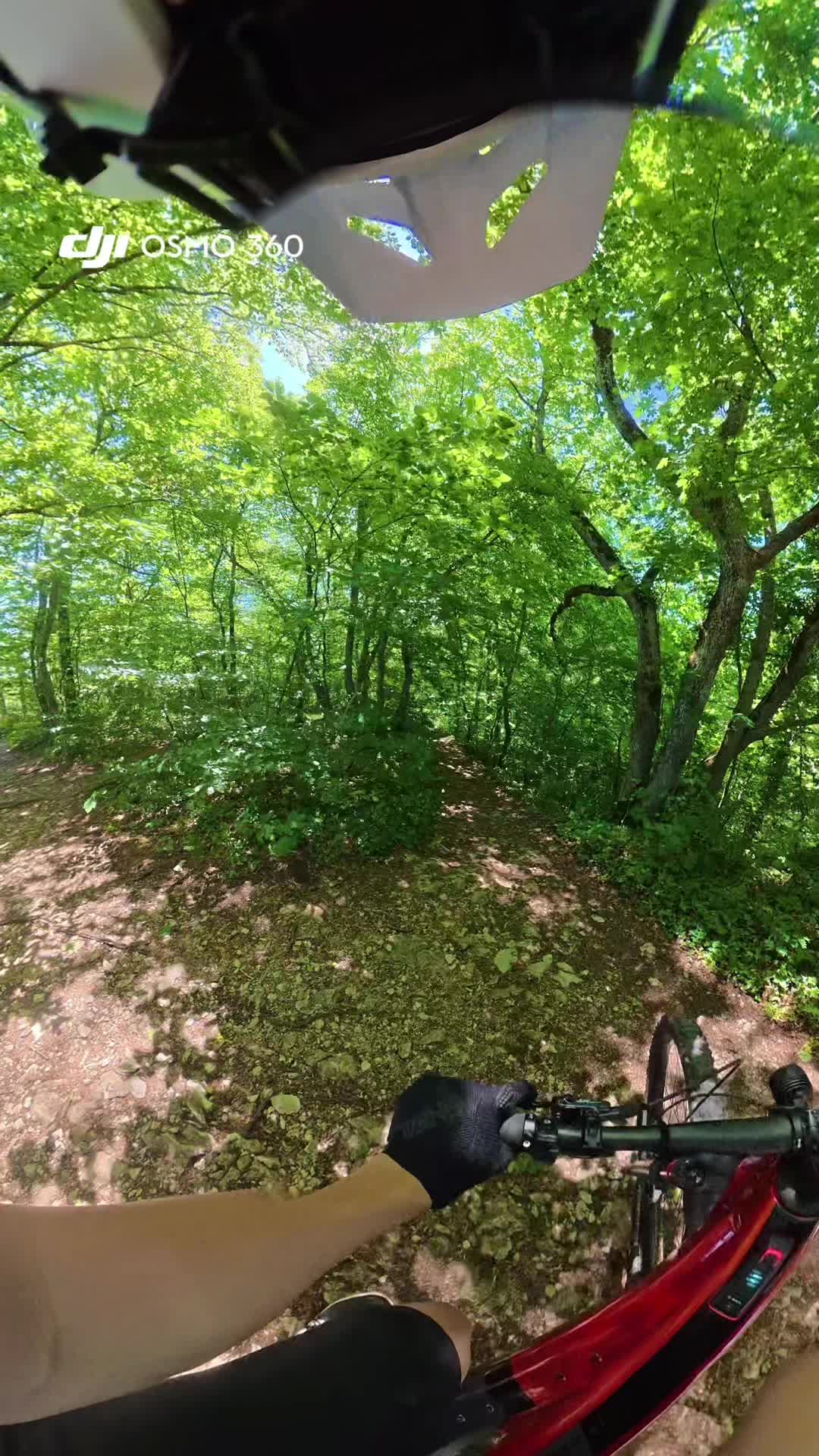 @Luca.mtb🇩🇪🦅✝️