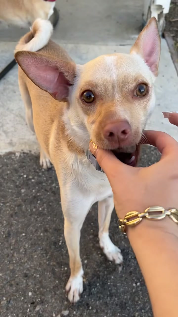 @💛 N E Z Z 💛