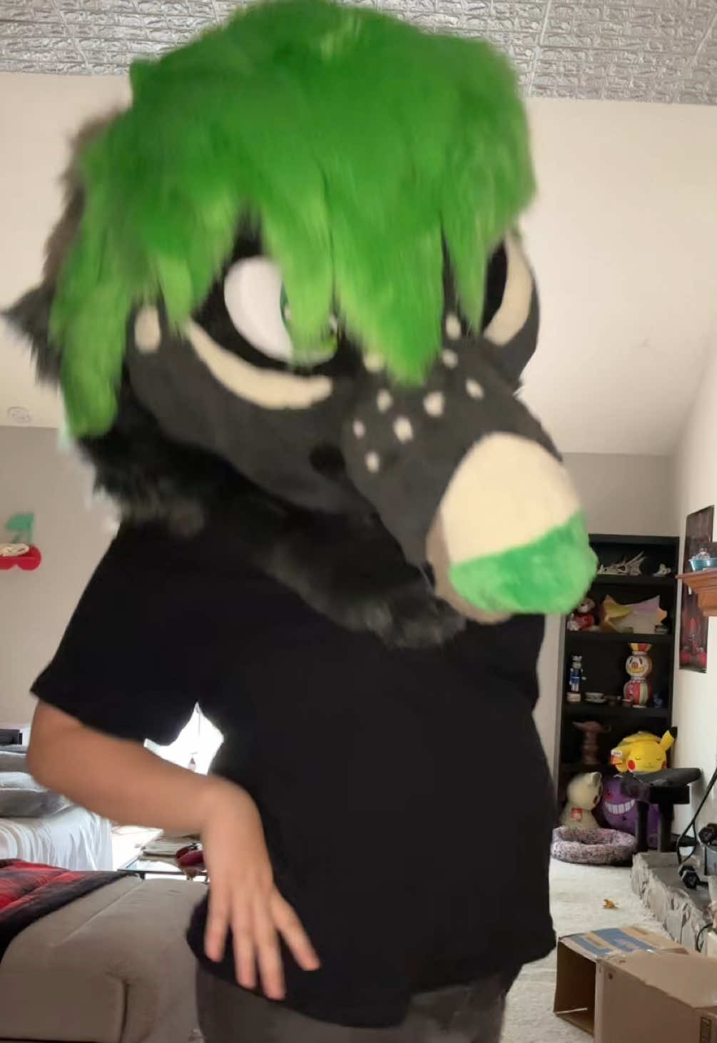 @🖤Eza the cat-lizard💚