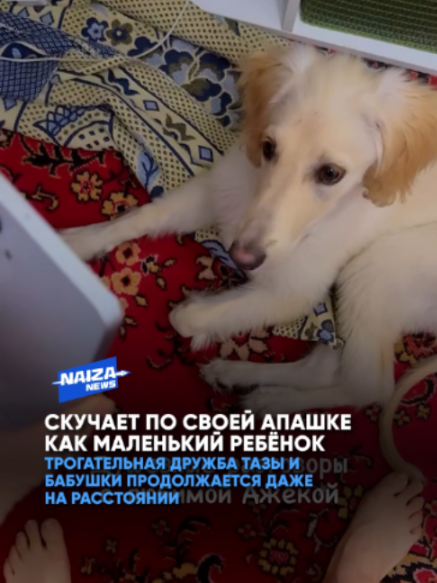 @NAIZA NEWS