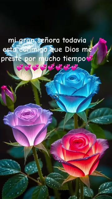@paulina