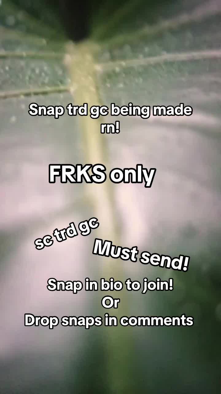 @Bigdbored42069
