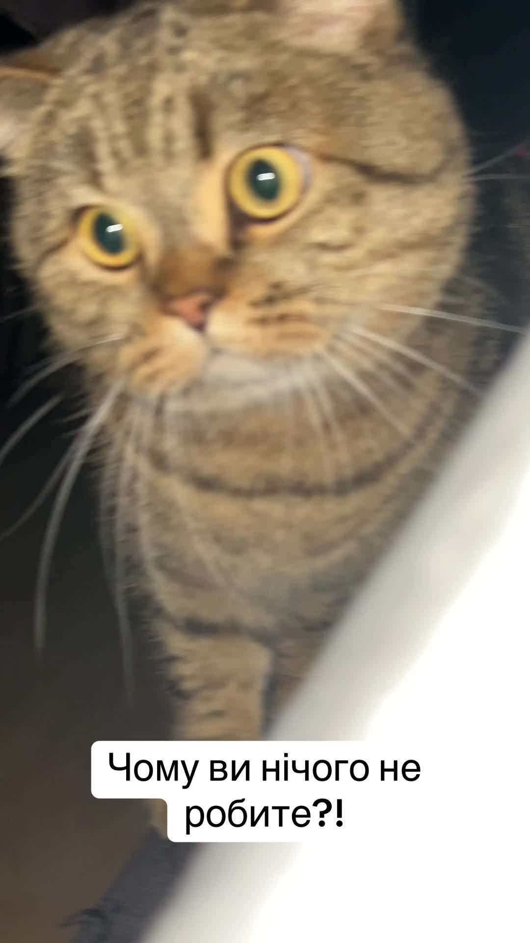 @Джоні 😻