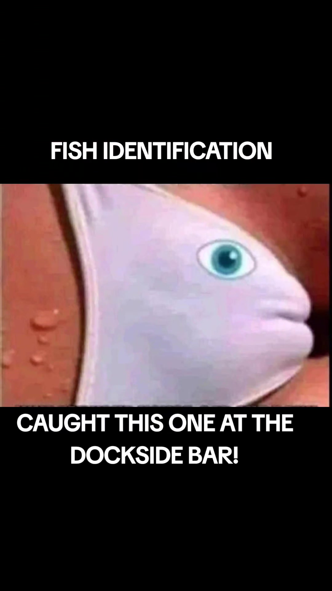 @DAFISHINGCRIPPLE