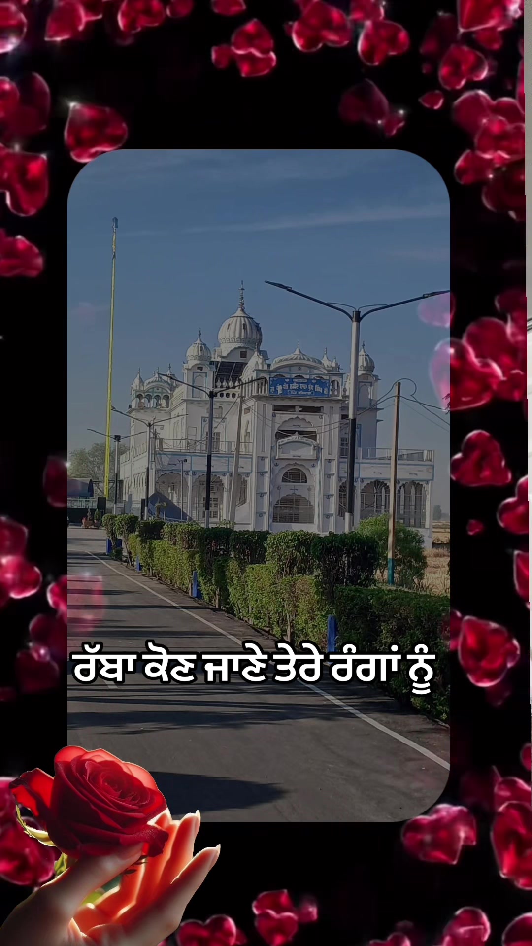 @m.s.Basiala USA