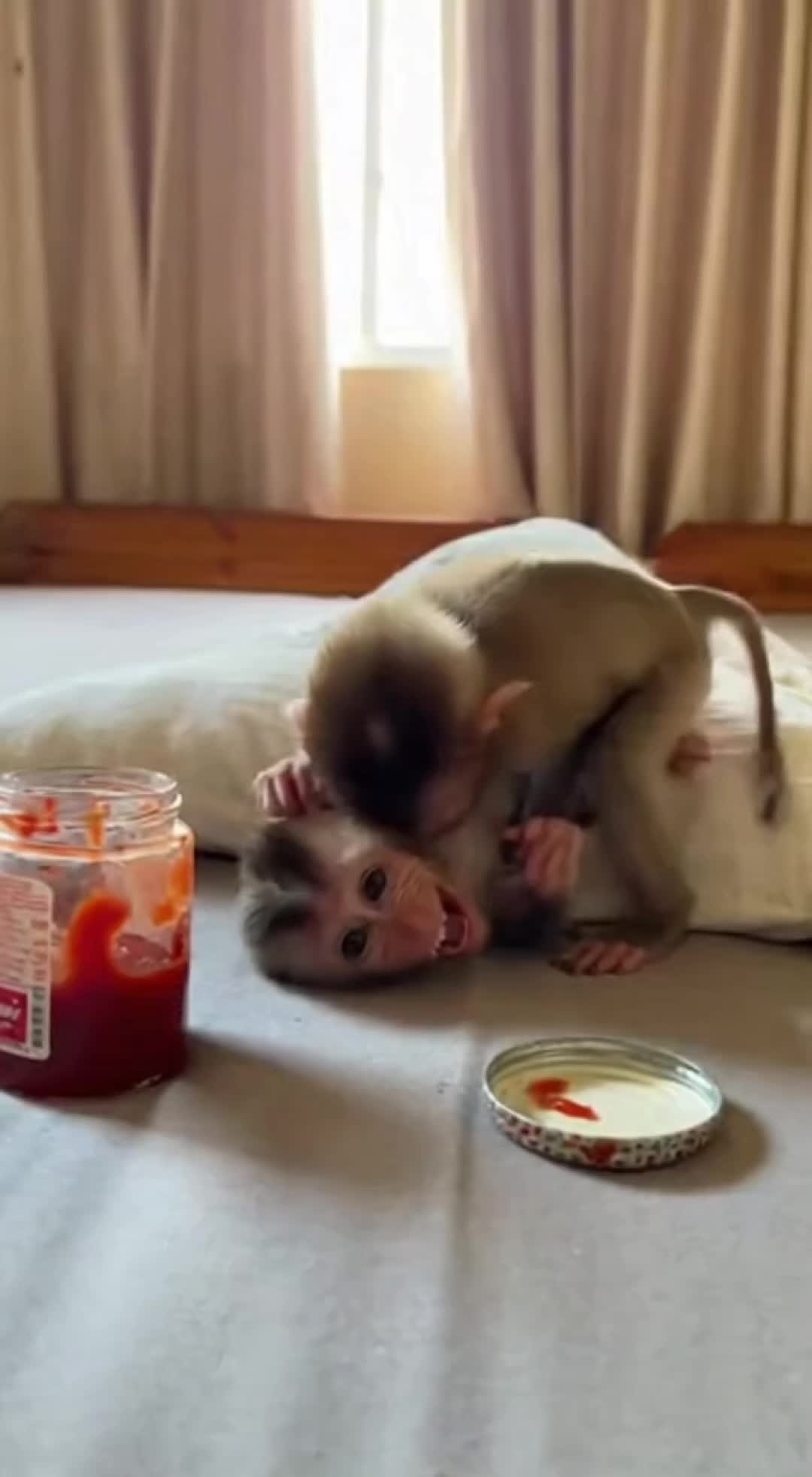 @monkeyfuntime