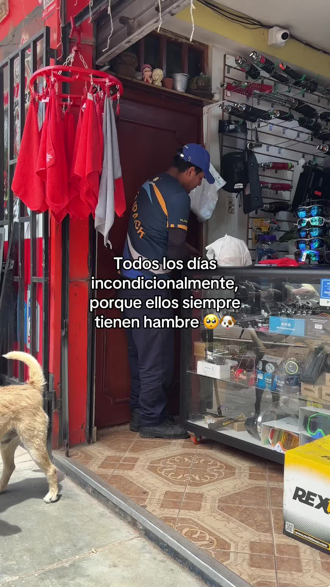 @Cabezotas 🐶