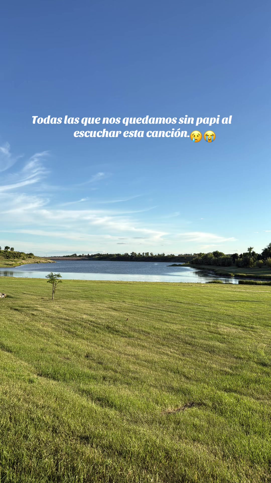 @Iriss🎀