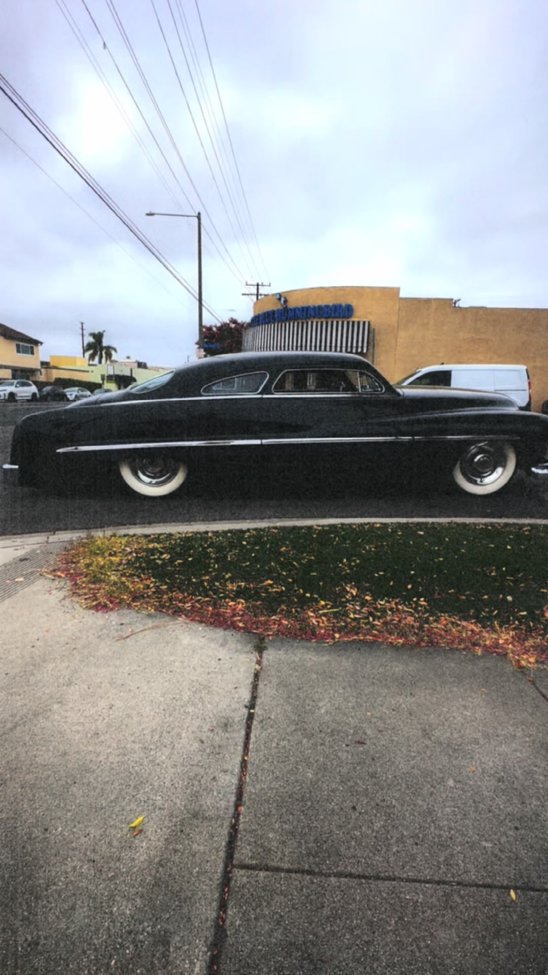 @49_classics